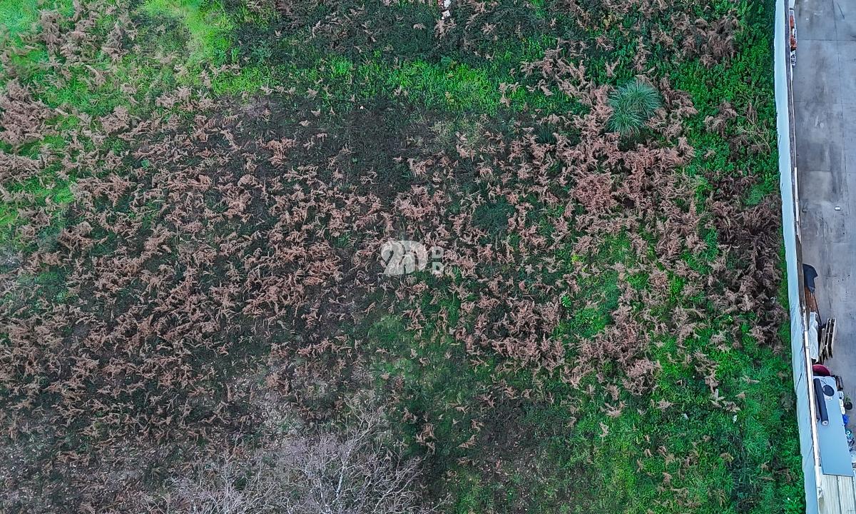 Lote de terreno 554 m² - Cavalões