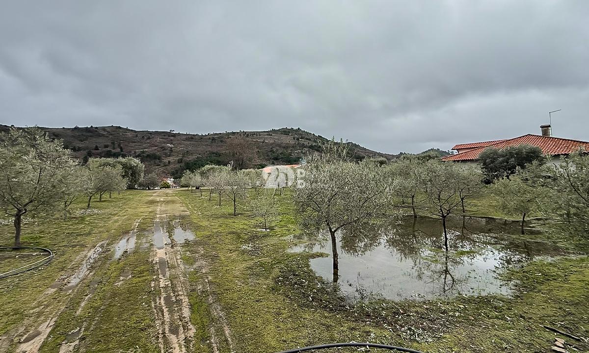 Terreno 5860m² - Pinheiros