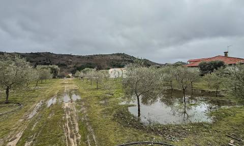 Terreno 5860m² - Pinheiros