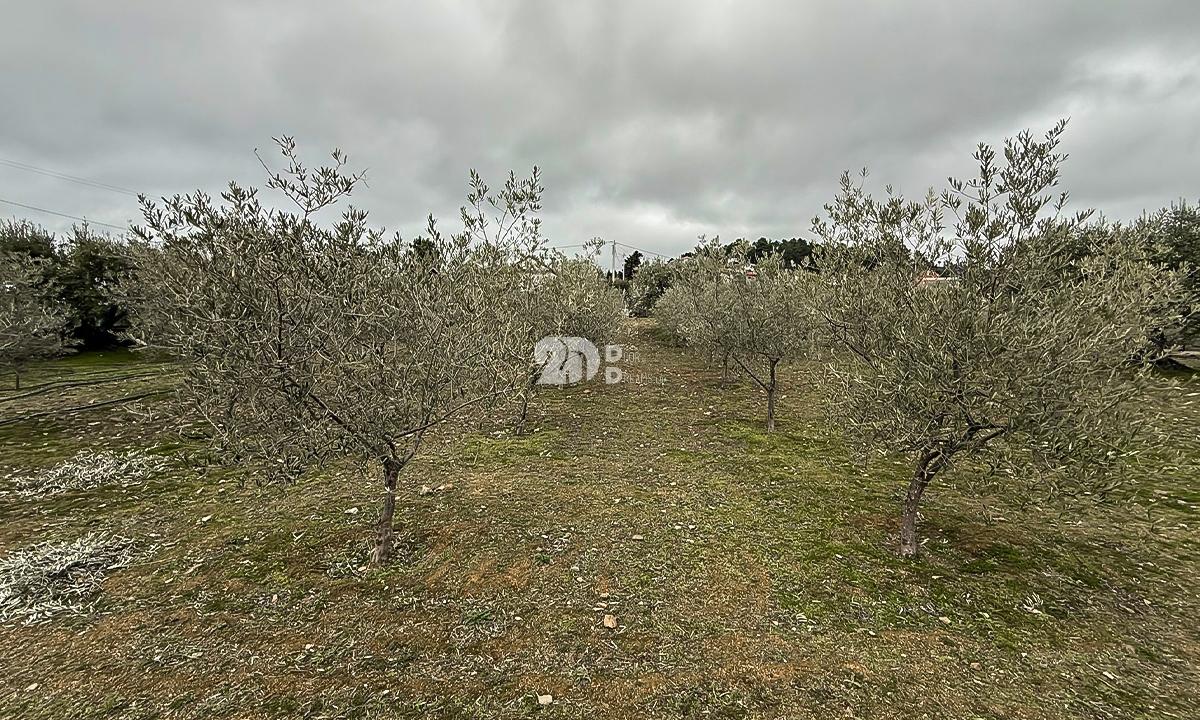 Terreno 5860m² - Pinheiros