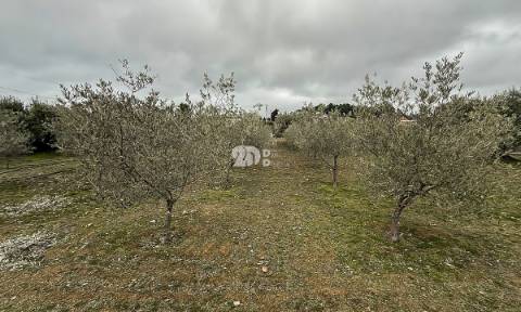 Terreno 5860m² - Pinheiros