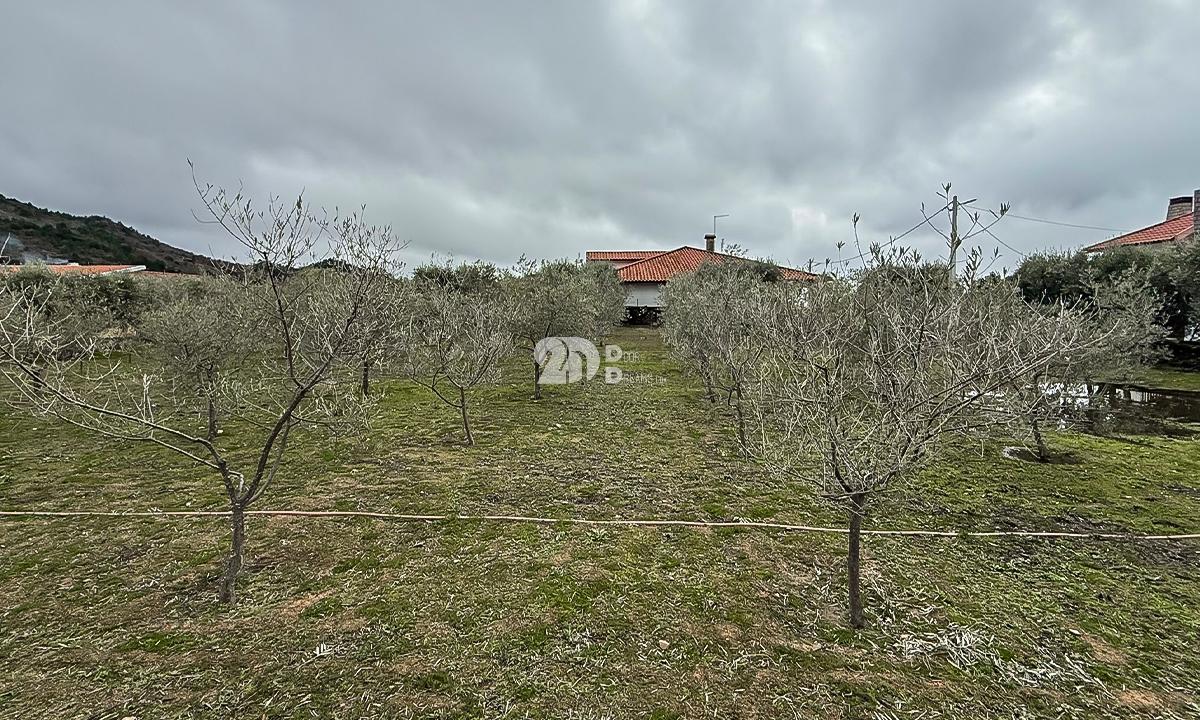 Terreno 5860m² - Pinheiros