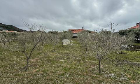 Terreno 5860m² - Pinheiros