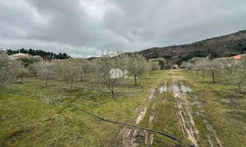 Terreno 5860m² - Pinheiros