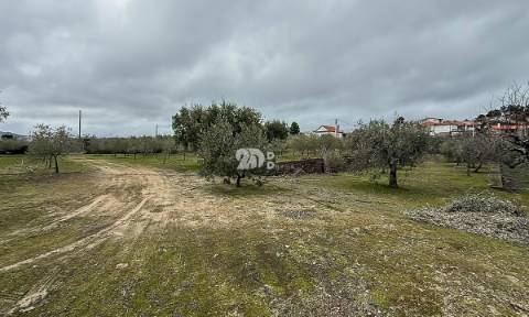 Terreno 5860m² - Pinheiros