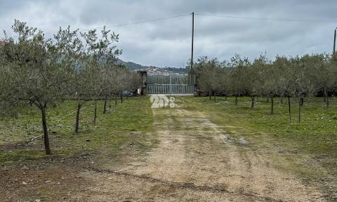 Terreno 5860m² - Pinheiros