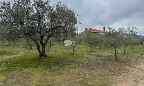 Terreno 5860m² - Pinheiros