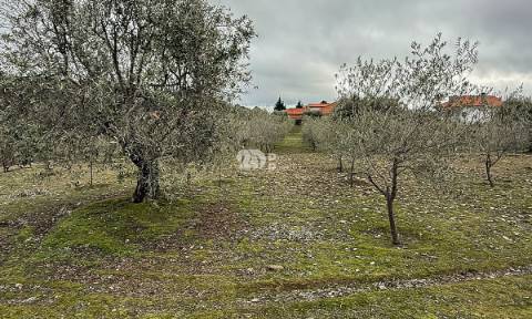 Terreno 5860m² - Pinheiros