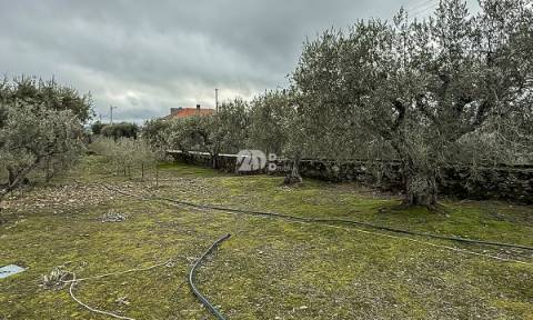 Terreno 5860m² - Pinheiros