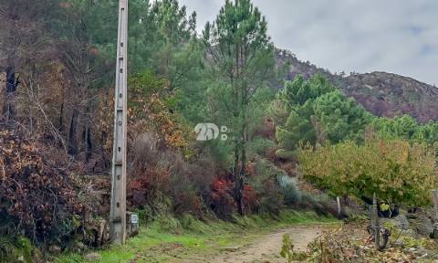 Terreno 7009m² - Távora