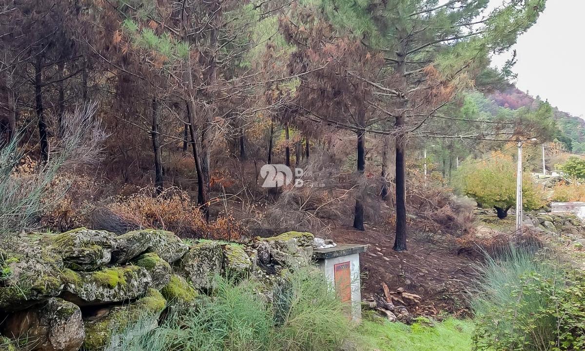 Terreno 7009m² - Távora