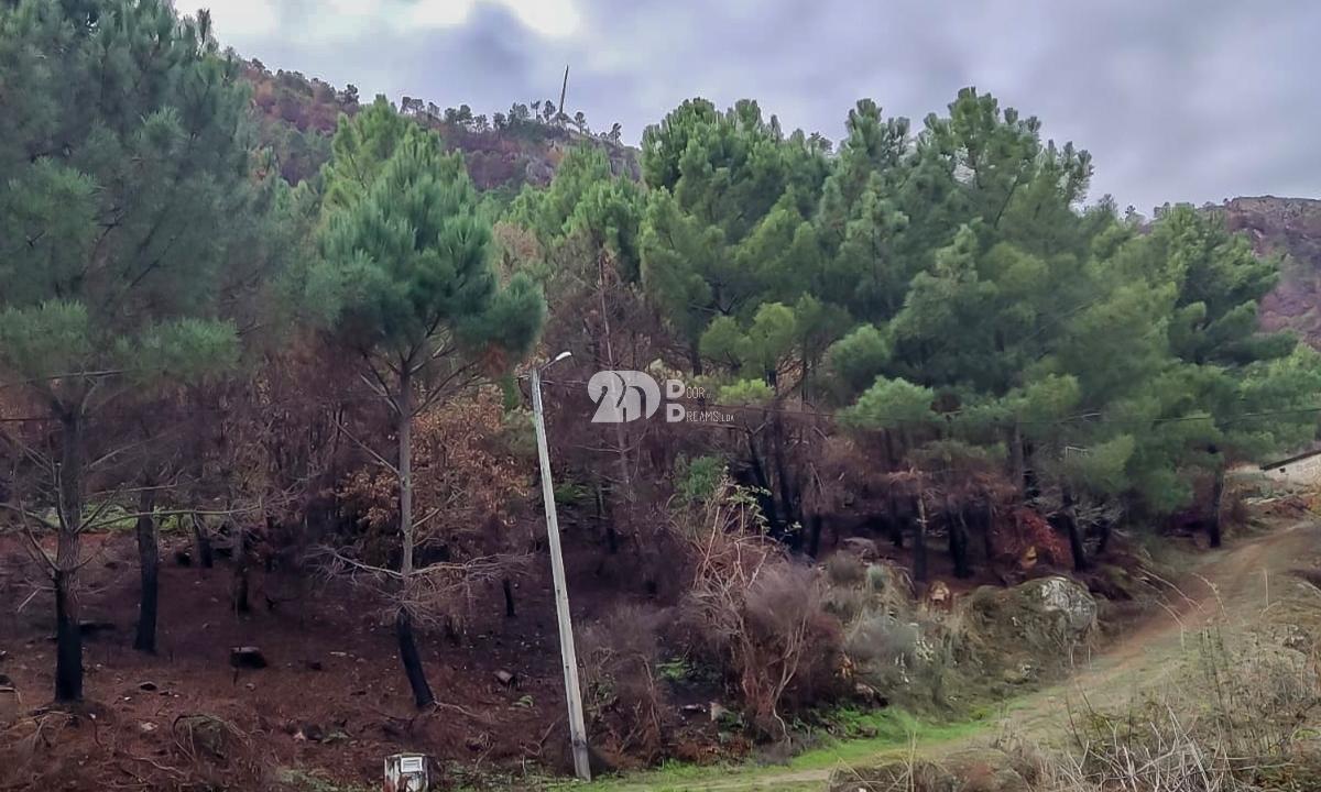 Terreno 8835m² - Távora