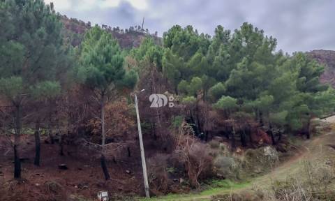 Terreno 15.844m² - Távora