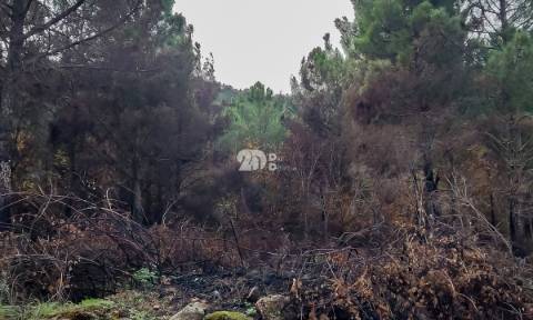 Terreno 15.844m² - Távora