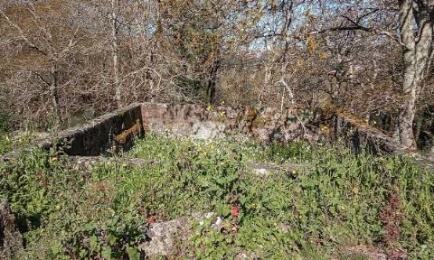 Quinta 40.019m² - Arnoso Stª Eulália