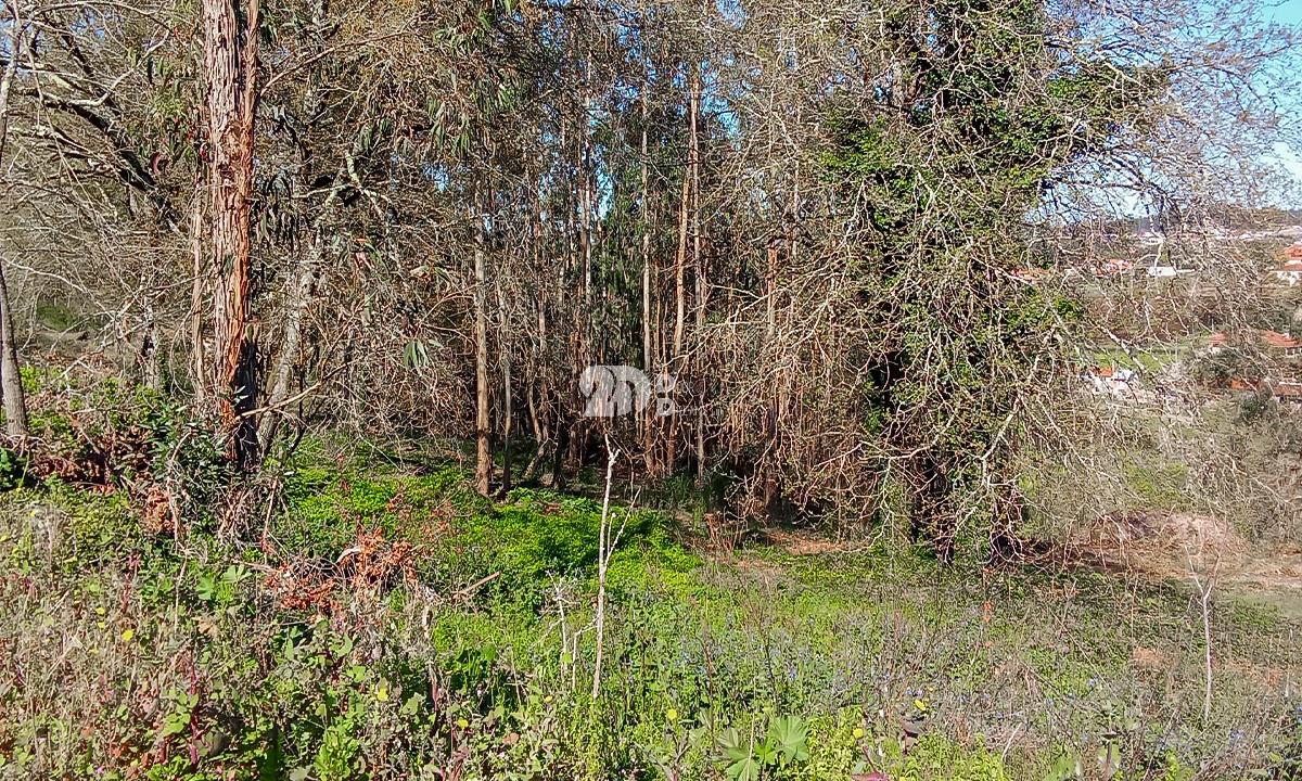 Quinta 40.019m² - Arnoso Stª Eulália