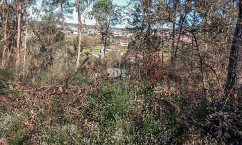 Quinta 40.019m² - Arnoso Stª Eulália