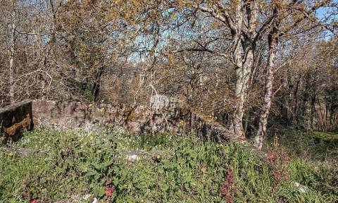 Quinta 40.019m² - Arnoso Stª Eulália