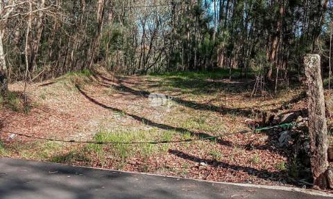 Quinta 40.019m² - Arnoso Stª Eulália