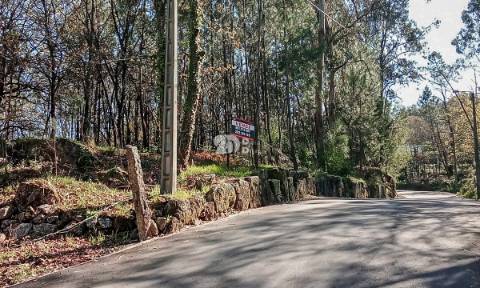 Quinta 40.019m² - Arnoso Stª Eulália