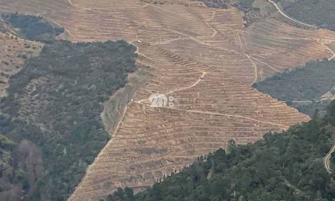 Quintas 263.310m² - Tabuaço