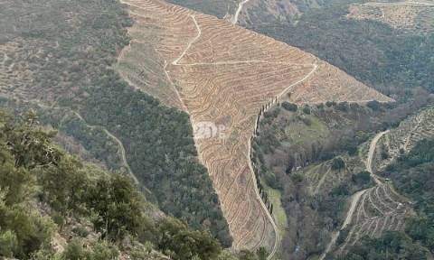 Quintas 263.310m² - Tabuaço