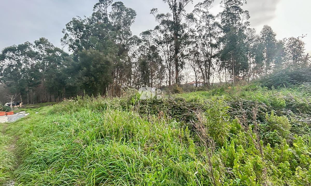 Terreno 2400m² - Louro
