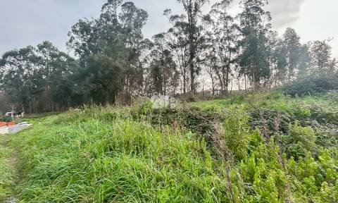 Terreno 2400m² - Louro
