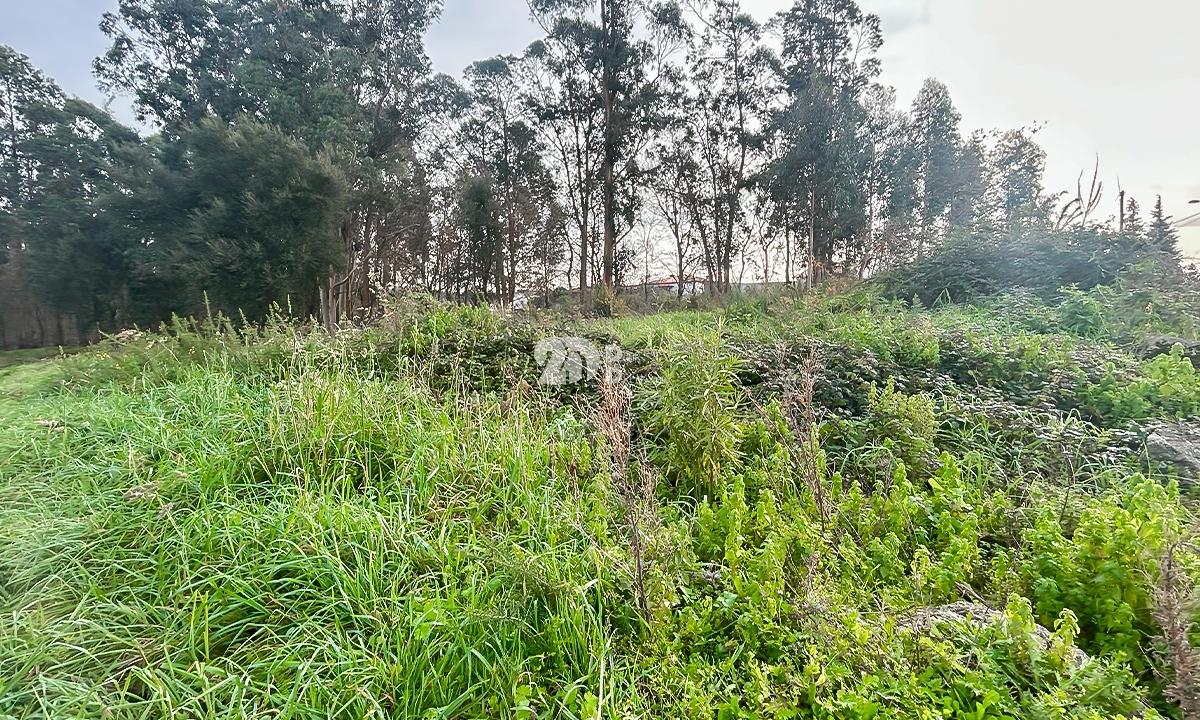 Terreno 2400m² - Louro