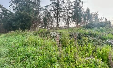 Terreno 2400m² - Louro