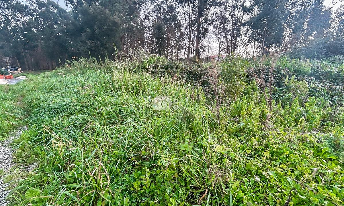 Terreno 2400m² - Louro
