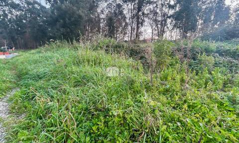 Terreno 2400m² - Louro