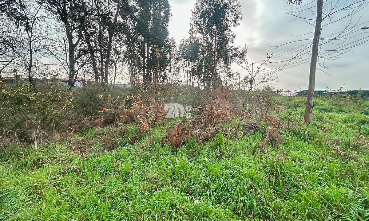 Terreno 2400m² - Louro
