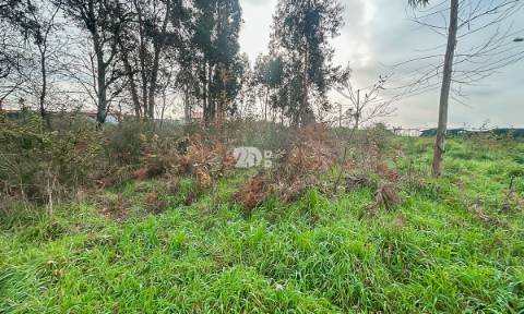 Terreno 2400m² - Louro