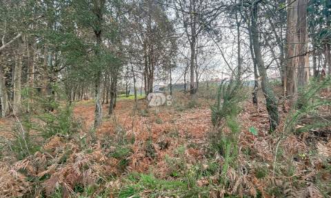 Terreno 2400m² - Louro
