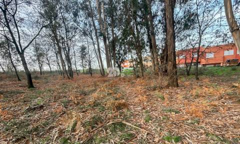 Terreno 2400m² - Louro