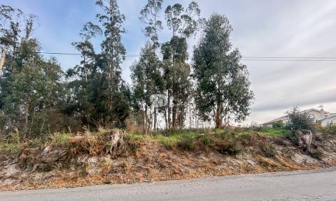 Terreno 2400m² - Louro