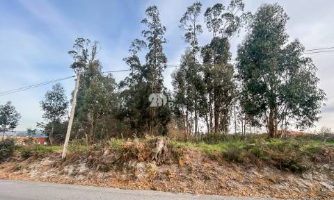 Terreno 2400m² - Louro