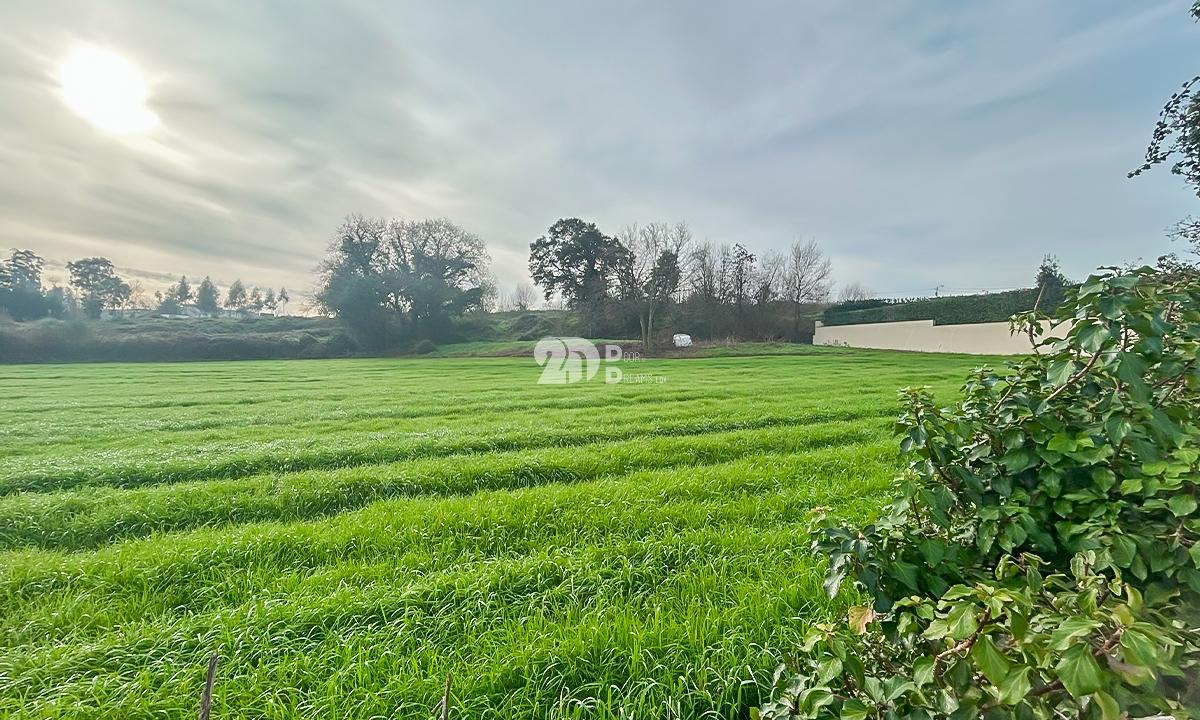Terreno 4500m² - Lemenhe