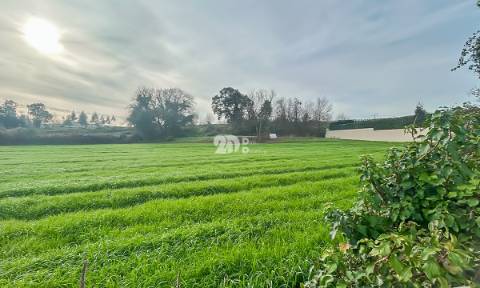 Terreno 4500m² - Lemenhe