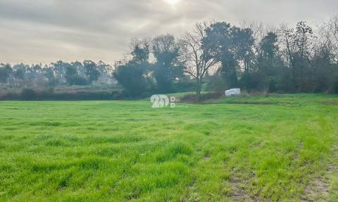 Terreno 4500m² - Lemenhe