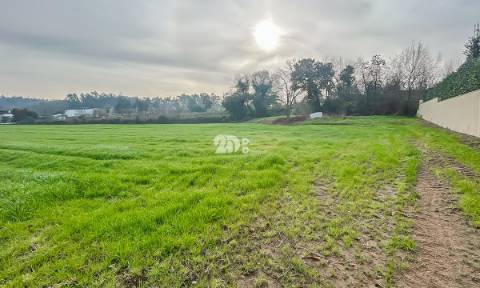 Terreno 4500m² - Lemenhe