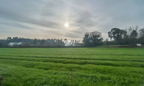 Terreno 4500m² - Lemenhe