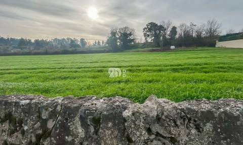 Terreno 4500m² - Lemenhe