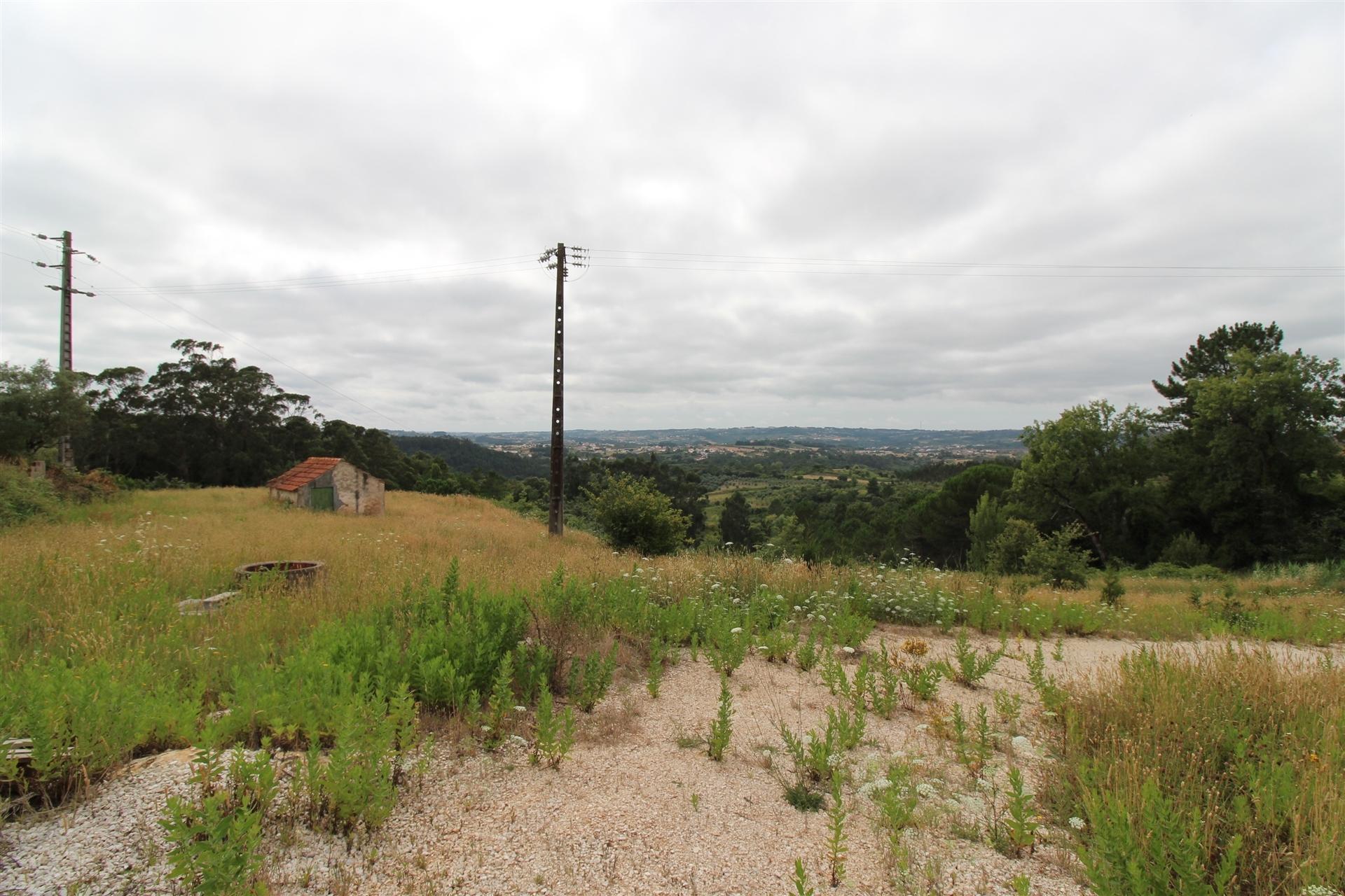 Terreno para construção - Évora de Alcobaça / Alcobaça