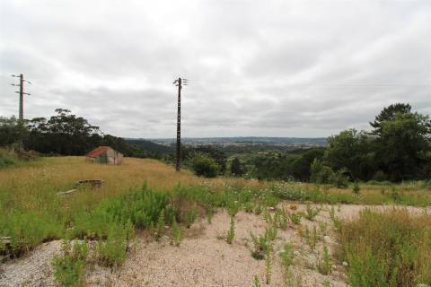 Terreno para construção - Évora de Alcobaça / Alcobaça