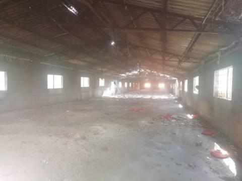 Armazém/ Aviário / Carnide