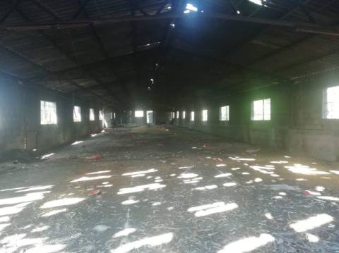 Armazém/ Aviário / Carnide