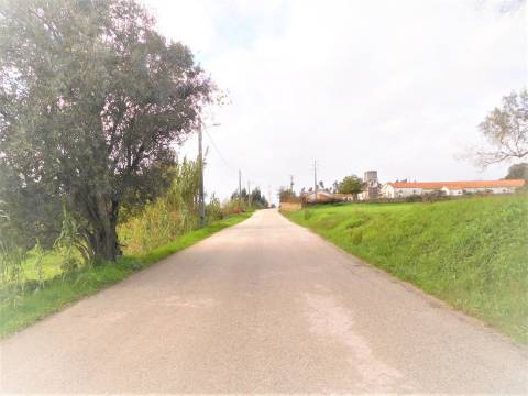 Terreno para construção com 4990m2  / Pinheiros / Leiria