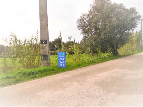 Terreno para construção com 4990m2  / Pinheiros / Leiria